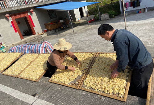 人均收入由9320元提至13600元 駐村書(shū)記說(shuō)脫貧要念好 三字經(jīng)