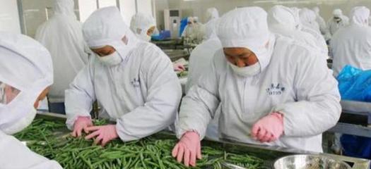 農村&ldquo;小型加工廠&rdquo;做什么好?這3個項目&ldquo;錢&rdquo;景可觀,不愁銷路