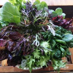 蘇尼特精品涮的有機(jī)蔬菜好不好吃 用戶(hù)評(píng)價(jià)口味怎么樣 呼和浩特美食有機(jī)蔬菜實(shí)拍圖片 大眾點(diǎn)評(píng)