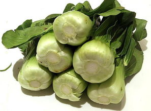 蔬菜 健康 食品圖片高清圖片免費下載 jpg格式 編號15369042 千圖網(wǎng)