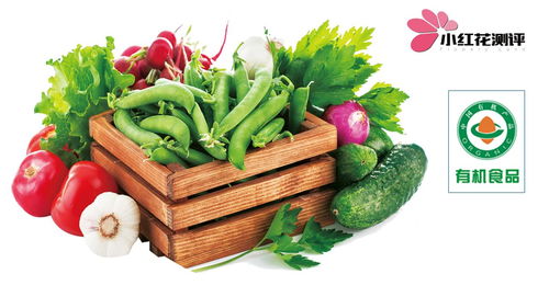 給寶寶吃有機(jī)食物值得嗎 用測評(píng)數(shù)據(jù)告訴你