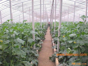 華洋學(xué)山水泥制品廠,華洋學(xué)山水泥制品廠生產(chǎn)廠家,華洋學(xué)山水泥制品廠價格